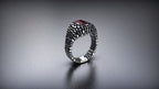 Geometric Ring